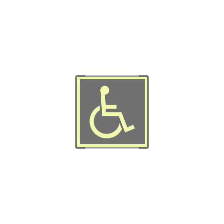 Targa monofacciale fotoluminescente METAL Toilette disabili