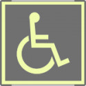 Targa monofacciale fotoluminescente METAL Toilette disabili