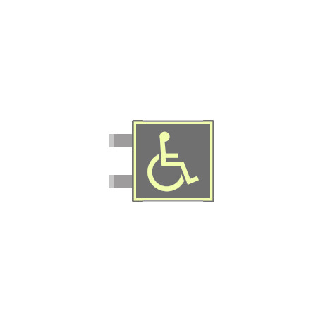 Targa bifacciale fotoluminescente METAL Toilette disabili