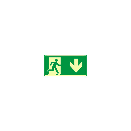 Segnale all. Metal mono luminescente prof. VERDE Usc. Emerg. EN ISO 7010