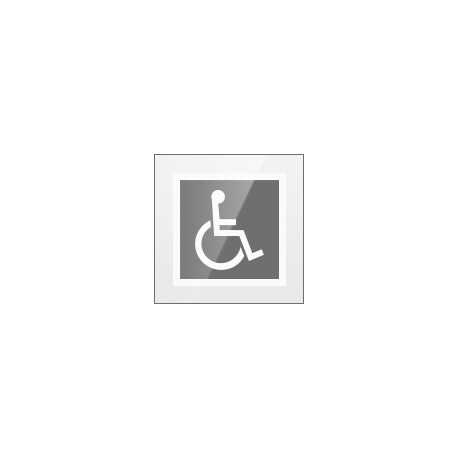 Targa PLexi monofacciale Toilette Disabili fissaggio invisibile