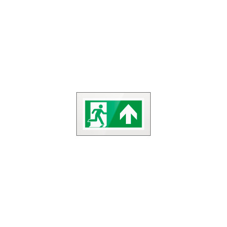Targa PLexi monof. uscita di emergenza avanti fiss. inv EN ISO 7010