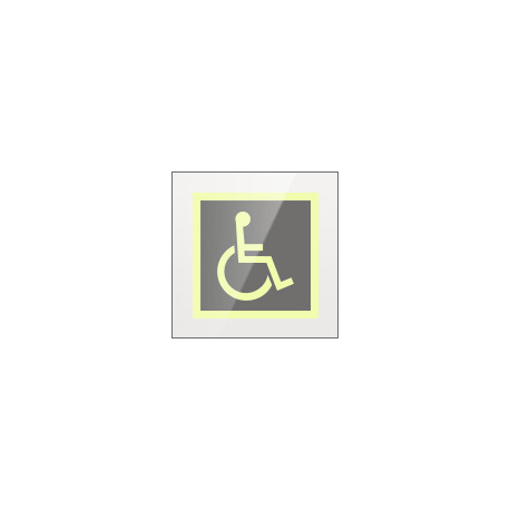 Targa Plexi monofacciale Toilette disabili fiss. inv.