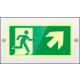 Targa PLexi mono usc. emerg. ds alto fissaggio a vite EN ISO 7010