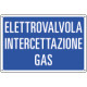 Cartello informazione ELETTROVALVOLA INTERC. GAS