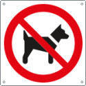 Cartello divieto accesso ai cani solo simbolo EN ISO 7010