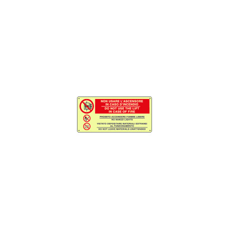 Cartello fotoluminescente in case of fire. . EN ISO 7010