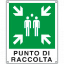 Cartello emergenza punto di raccolta simbolo+testo EN ISO 7010