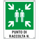 Cartello emergenza punto di raccoilta simbolo+testo EN ISO 7010