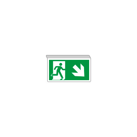 Cartello SOSPESO bifacciale uscita emergenza freccia basso DX ISO 7010