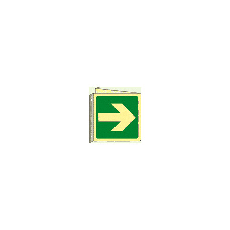Cartello bifacciale luminescente Din PLus freccia direzione emergenza