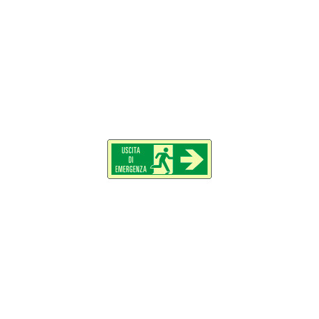 Cartello luminescente DIN PLUS uscita di emergenza freccia dx