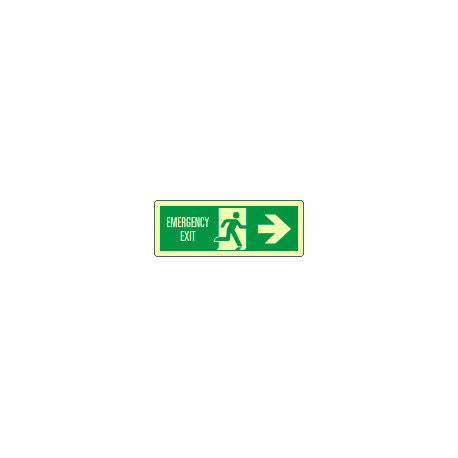 Cartello luminescente emergency exit destra EN ISO 7010