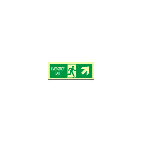 Cartello luminescente DIN Emerg. Exit freccia dx alto EN ISO 7010