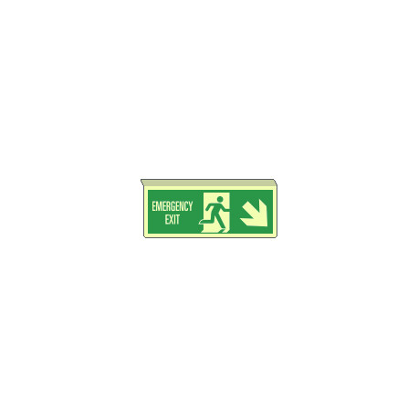 Cartello sospeso luminesc. uscita emergenza freccia a dx EN ISO 7010