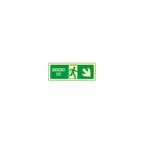 Cartello fotoluminescente "emergency exit"SE EN ISO7010