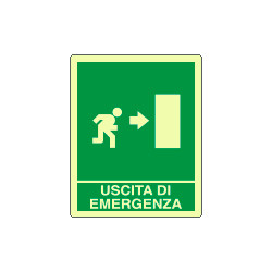 Cartello fotoluminescente uscita di emergenza ds