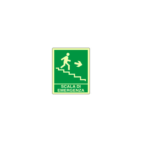 Cartello fotoluminescente scala emergenza discesa ds