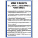 Cartello NORME USO CARRIPONTE E PARANCHI