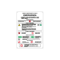 Cartello Emergenza Norme Comportamento EN ISO 7010