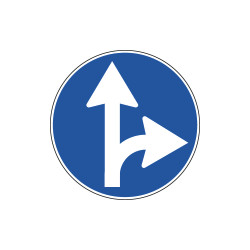 Cartello NF 81b DIREZIONE CONSIGLIATA DIRITTO E DS