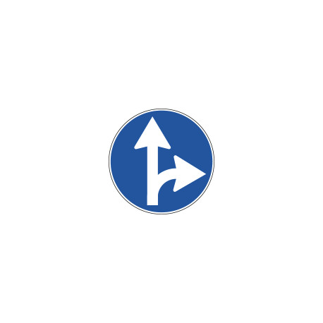 Cartello NF 81b DIREZIONE CONSIGLIATA DIRITTO E DS