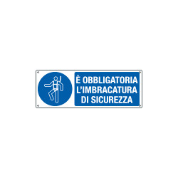 Cartello obbligo cintura di sicurezza EN ISO 7010