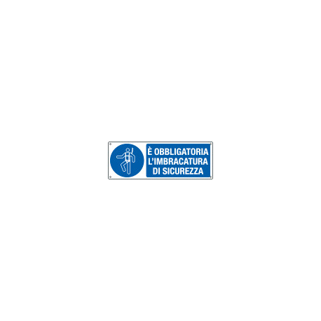 Cartello obbligo cintura di sicurezza EN ISO 7010