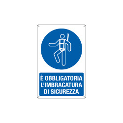 Cartello obbligo cintura di sicurezza EN ISO 7010