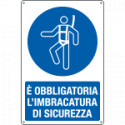 Cartello imbracatura di sicurezza EN ISO 7010