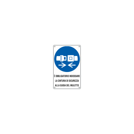 Cartello obbligo indossare la cintura di sicurezza EN ISO 7010