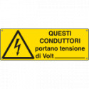 Etichetta adesiva questi conduttori portano tensione. . EN ISO 7010