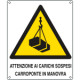 Cartello pericolo carichi sospesi carro ponte EN ISO 7010