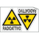 Foglio 2 etichette Radioattivo EN ISO 7010