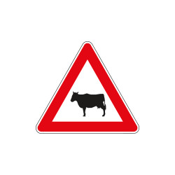 Cartello NF 24 ANIMALI DOMESTICI