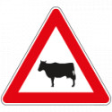 Cartello NF 24 ANIMALI DOMESTICI