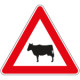 Cartello NF 24 ANIMALI DOMESTICI