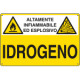 Cartello pericolo IDROGENO EN ISO 7010