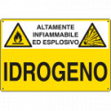Cartello pericolo IDROGENO EN ISO 7010