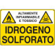 Cartello sostanze pericolose IDROGENO SOLFORATO EN ISO 7010