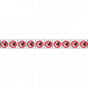 Foglio n 10 etichette adesive 30x30 Divieto d'accesso