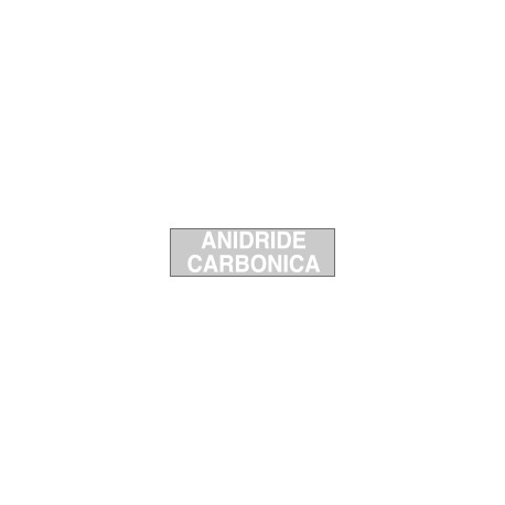 Etichetta adesiva fondo grigio ANIDRIDE CARBONICA