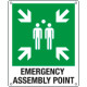 Sign emergency EMERGENCY ASSEMBLY POINT EN ISO 7010 E007