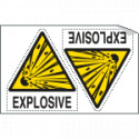 Sheet n. 2 label "EXPLOSIVE"