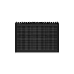 Tappeto igienizzante componibile (seziona sanific. + asciugatura)