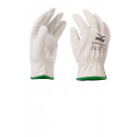 Guanti Antifreddo BLIZZARD 55WINTER Payper