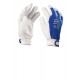 Guanti In Pelle HOBBYLEATHER Payper