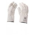 Guanti In Pelle PILOT 70 Payper