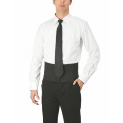 Fascia Elastica Giblor's