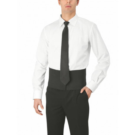 Fascia Elastica Giblor's